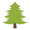 Service d'intervention d'urgence d'arbre à Montréal, Laval et sur la Rive-Nord