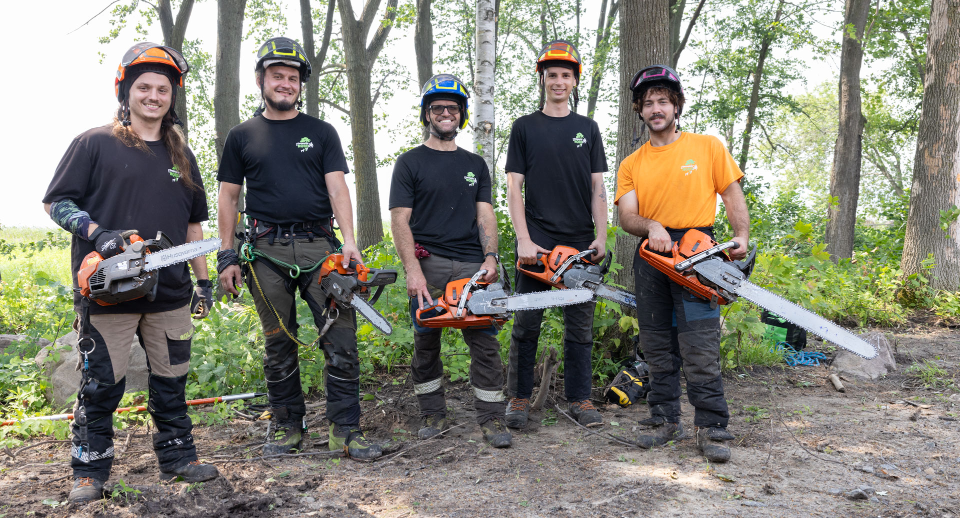 Abattage et élagage d'arbres - Rive-Nord de Montréal